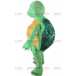 Very Successful All Round Orange and Green Turtle BIGGYMONKEY™