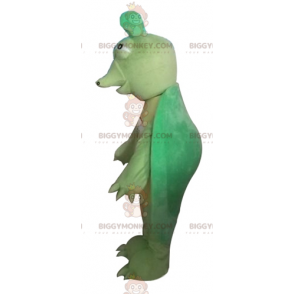 Traje de mascote original e engraçado de tartaruga verde e