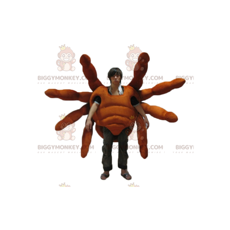 Traje de mascote de aranha gigante realista e impressionante