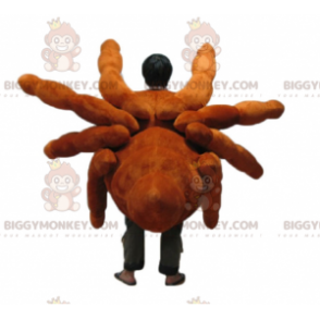 Realistic and Impressive Giant Spider Tarantula BIGGYMONKEY™