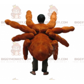 Traje de mascote de aranha gigante realista e impressionante