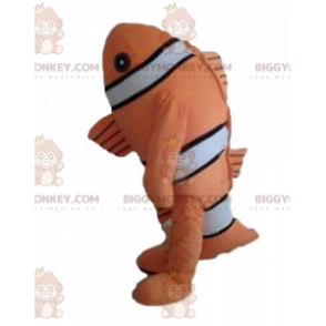Traje de mascote de peixe-palhaço preto e branco laranja