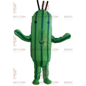 Kaksivärinen vihreä kesäkurpitsakurkku BIGGYMONKEY™ maskottiasu