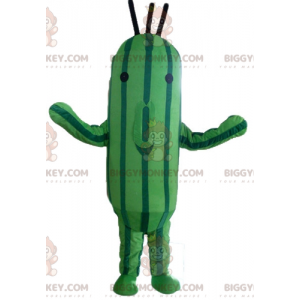 Traje de mascote de dois tons de abobrinha verde pepino