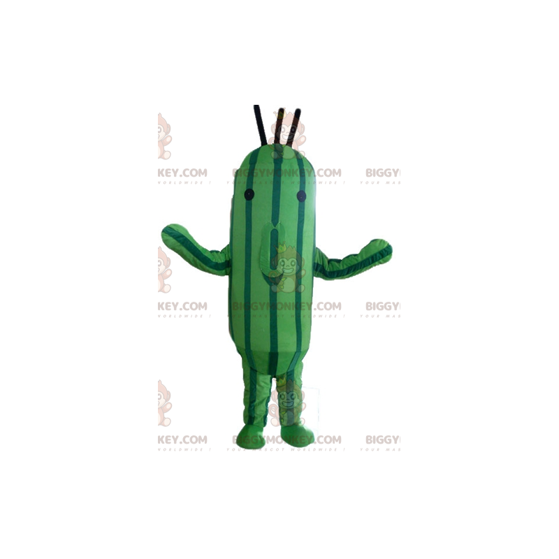 Tvåfärgad grön zucchinigurka BIGGYMONKEY™ maskotdräkt -