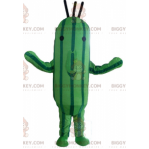 Kaksivärinen vihreä kesäkurpitsakurkku BIGGYMONKEY™ maskottiasu