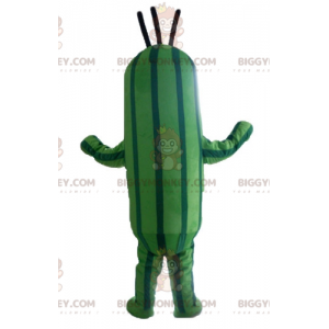 Two Tone Green Zucchini Cucumber BIGGYMONKEY™ Mascot Costume –