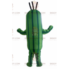 Kostým maskota BIGGYMONKEY™ se dvěma odstíny zelené cukety a