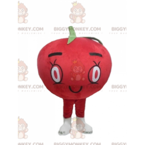 Sød All Round Giant Red Tomato BIGGYMONKEY™ maskotkostume -
