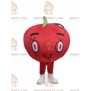 Traje de mascote BIGGYMONKEY™ de tomate vermelho gigante e fofo