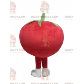 Sød All Round Giant Red Tomato BIGGYMONKEY™ maskotkostume -