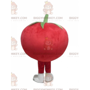 Traje de mascote BIGGYMONKEY™ de tomate vermelho gigante e fofo