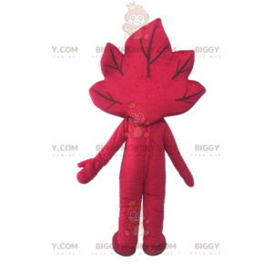 Kostium maskotki uśmiechniętego gigantycznego czerwonego liścia