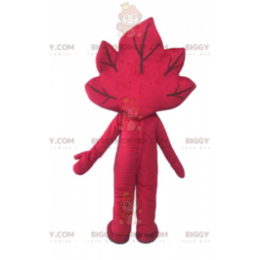 Kostium maskotki uśmiechniętego gigantycznego czerwonego liścia