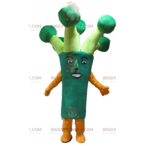 Costume da mascotte BIGGYMONKEY™ con broccoli verdi giganti -