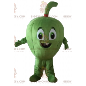 Jätte fikonfruktmelon BIGGYMONKEY™ Maskotdräkt - BiggyMonkey