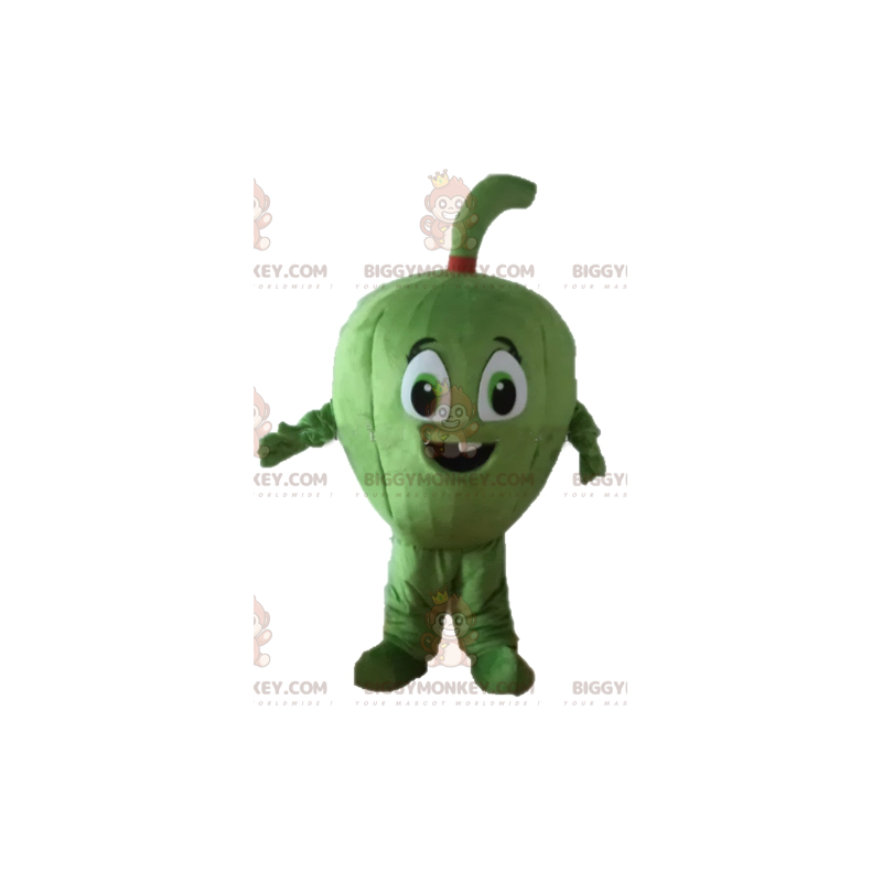 Giant Fig Fruit Melon BIGGYMONKEY™ Mascot Costume –