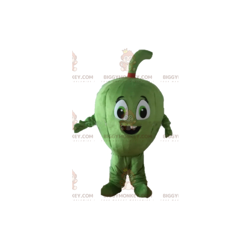 Riesige Feigen-Frucht-Melone BIGGYMONKEY™ Maskottchen-Kostüm -