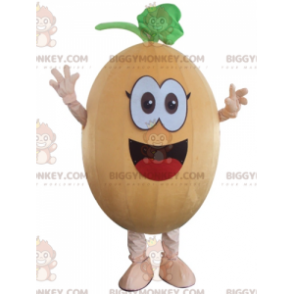 Disfraz de mascota BIGGYMONKEY™ de Calabaza de melón sonriente