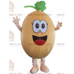 Funny Smiling Melon Pumpkin BIGGYMONKEY™ Mascot Costume –