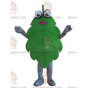 Sjovt kæmpegrønt blad BIGGYMONKEY™ maskotkostume -