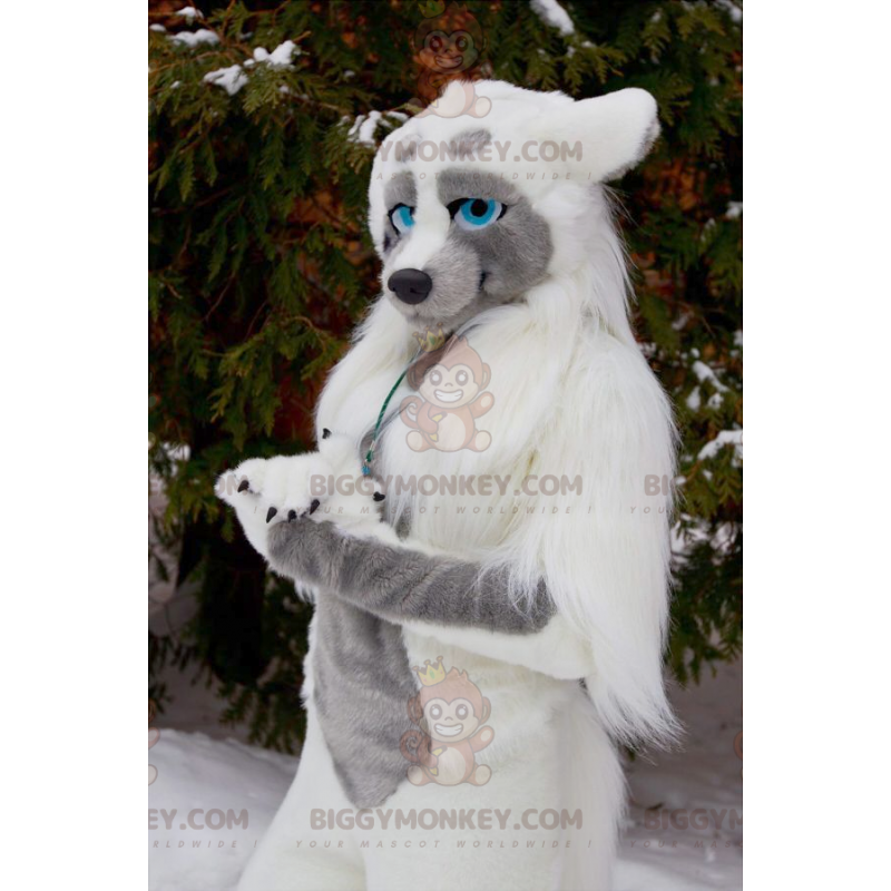 Blue Eyed Wolf Dog BIGGYMONKEY™ maskottiasu - Biggymonkey.com