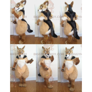 Tricolor Hairy Dog BIGGYMONKEY™ Mascot Costume - Biggymonkey.com