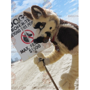 Tutto il costume della mascotte del cane lupo peloso