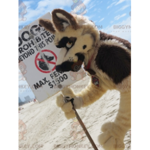 Tutto il costume della mascotte del cane lupo peloso