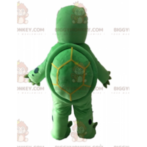 Costume de mascotte BIGGYMONKEY™ de tortue verte et beige