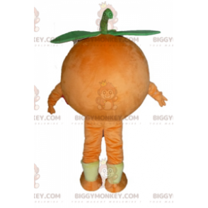 Costume de mascotte BIGGYMONKEY™ d'orange géante. Costume de