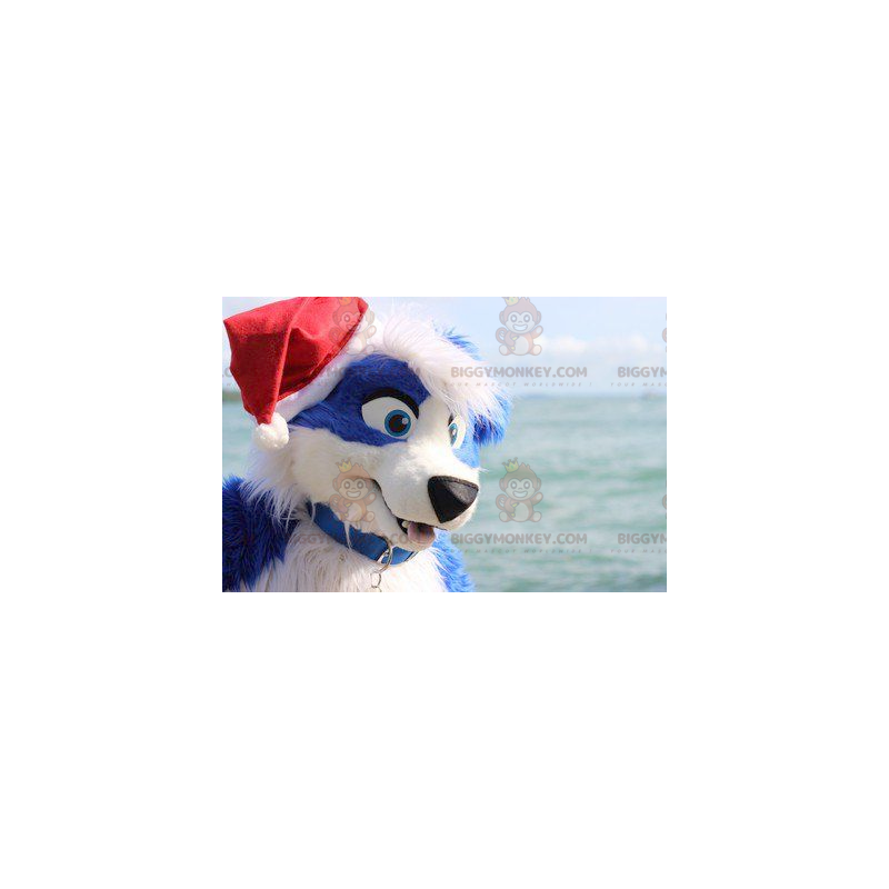 Κοστούμι μασκότ με μπλε και άσπρο σκύλο BIGGYMONKEY™ -