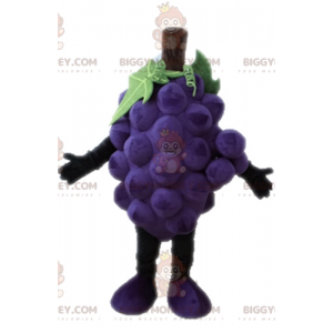 Giant Bunch of Grapes BIGGYMONKEY™ maskottiasu. Fruit