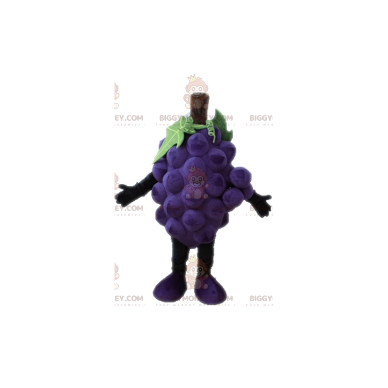 Traje de mascote gigante do cacho de uvas BIGGYMONKEY™.