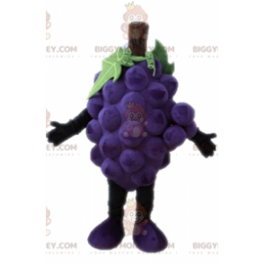 Giant Bunch of Grapes BIGGYMONKEY™ Mascot Costume. Fruit