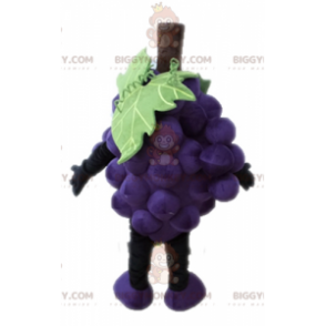 Costume da mascotte del grappolo d'uva gigante BIGGYMONKEY™.