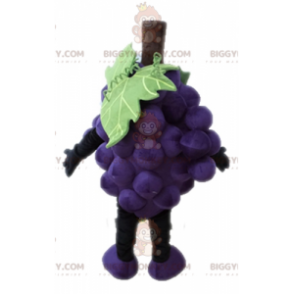 Gigantische tros druiven BIGGYMONKEY™ mascottekostuum. Fruit