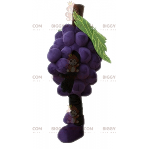 Giant Bunch of Grapes BIGGYMONKEY™ Mascot Costume. Fruit