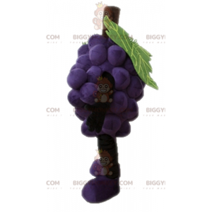 Traje de mascote gigante do cacho de uvas BIGGYMONKEY™.
