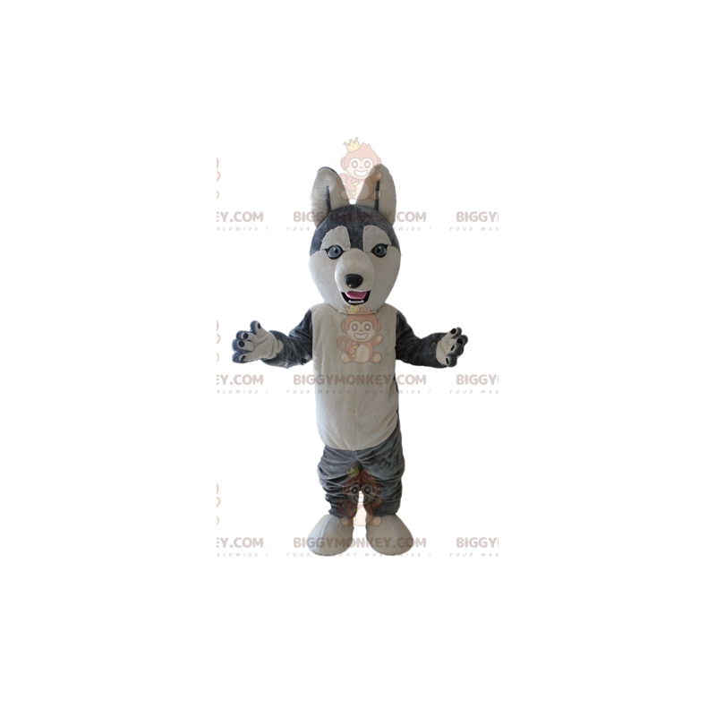 Husky BIGGYMONKEY™ mascottekostuum. Grijze en witte wolfshond