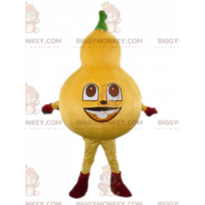 Costume da mascotte da zucca gigante BIGGYMONKEY™. Costume