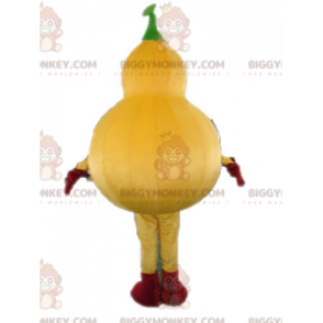 Disfraz de calabaza gigante BIGGYMONKEY™ para mascota. Disfraz