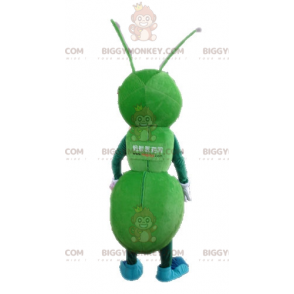 Στολή μασκότ Giant Green Ant BIGGYMONKEY™. Στολή μασκότ με