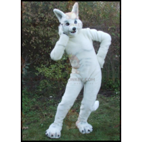 Costume de mascotte BIGGYMONKEY™ de grand lapin blanc