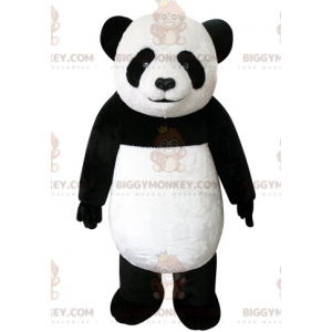 Erittäin kaunis ja realistinen mustavalkoinen panda