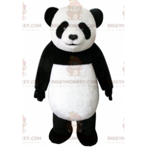 Erittäin kaunis ja realistinen mustavalkoinen panda