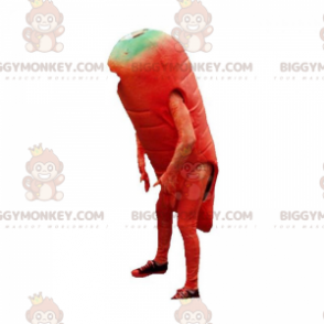 Kostým maskota Giant Orange Carrot BIGGYMONKEY™. Zeleninový