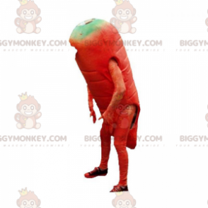 Στολή μασκότ με Giant Orange Carrot BIGGYMONKEY™. Φυτική στολή