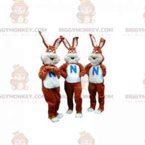 3 La mascota de BIGGYMONKEY™ de conejos marrones y blancos.