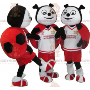 3 BIGGYMONKEY™s maskot röda svarta och vita nyckelpigor -